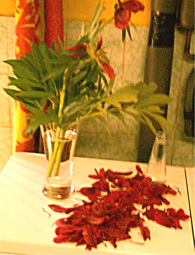 Stoffwechselerkrankungen